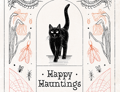 Happy Hauntings animal black cat botanical bug cat centipede cobweb creepy drawing gravestone halloween haunting illustration insect nature seasonal spiderweb spooky wildlife