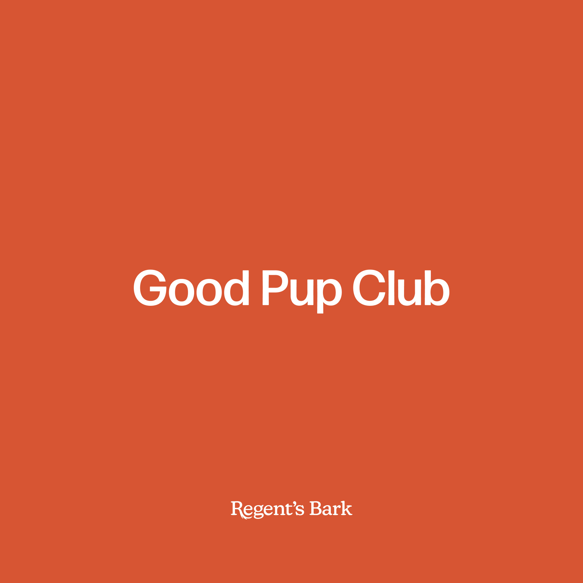 Regent's Bark club daycare dog helvetica logo minimal modern orange pup puppy sans serif simple slogan swiss tag line