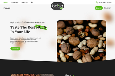 web design for Nuts shop branding design graphic design illustration landing page logo typography ui ux vector