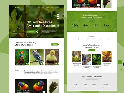 Flafau Webpage Landing Page Design design graphic design landing page ui ui design uiux webpage website