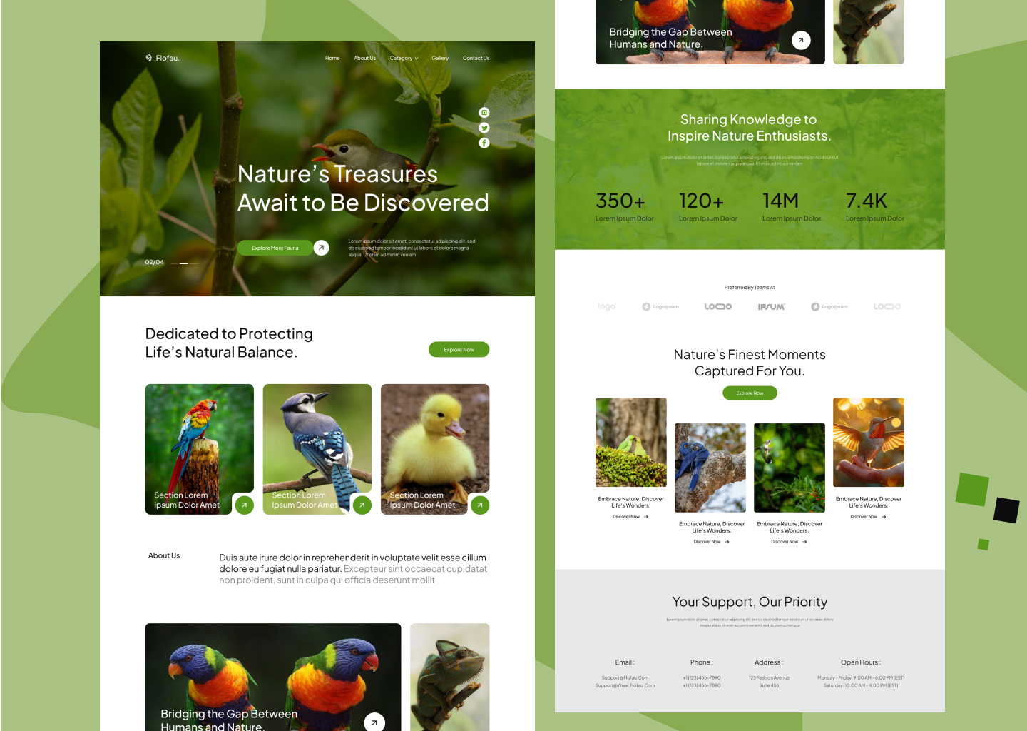 Example of Clean And User Friendly Web Design 