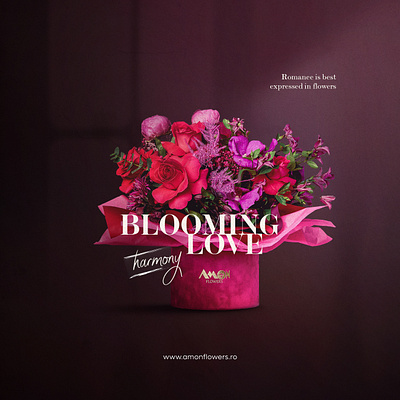 A Play of Color & Typography branding design flower graphic design love pink red typography