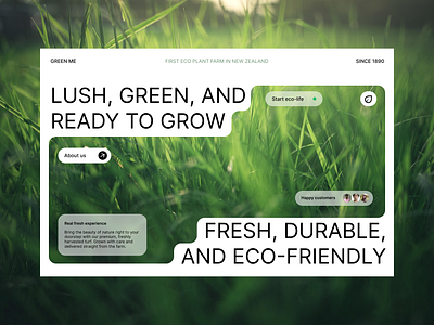 Lawn Company Landing Page graphic design landing page sales ux design