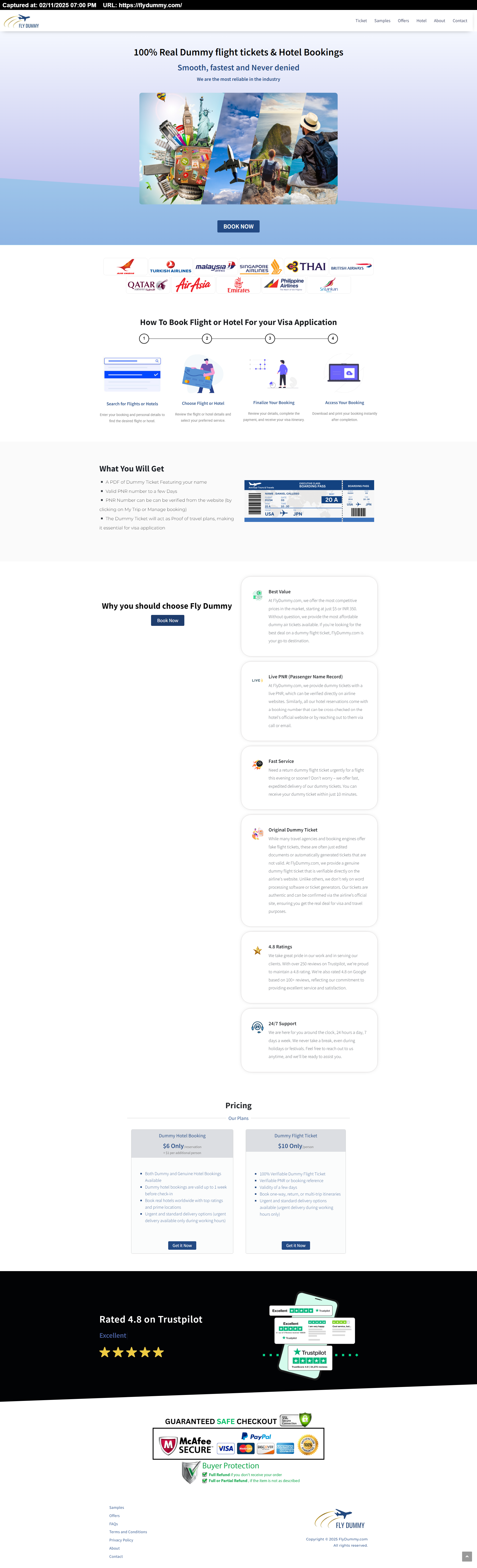 FlyDummy Travels branding travel website ui design website design