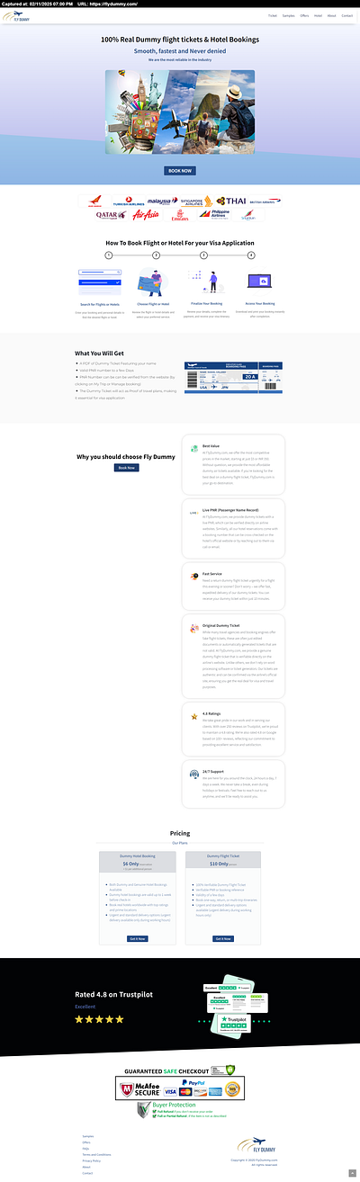 FlyDummy Travels branding travel website ui design website design