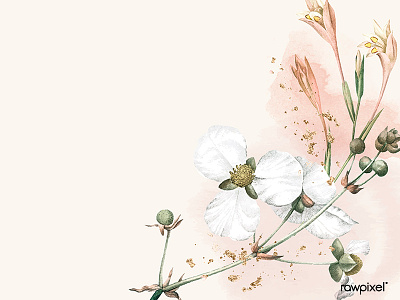 White flower on a beige background vector template background branding feminine florals glitter illustration pink vector