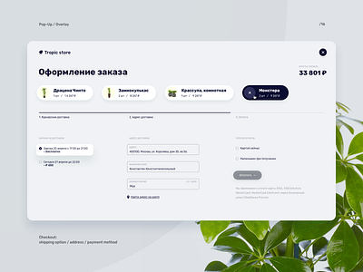 Pop-Up Chekout 016 checkout daily ui design popup web