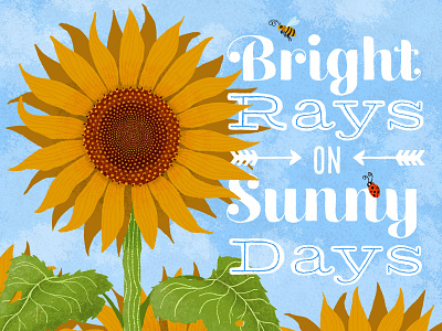 Sunny Days childrens childrens illustration flower illustration summer sunflowers typography