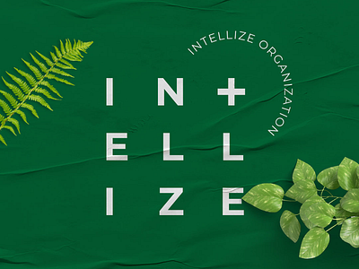 Intellize - Brand Identity branding catering identity logo logotype organization