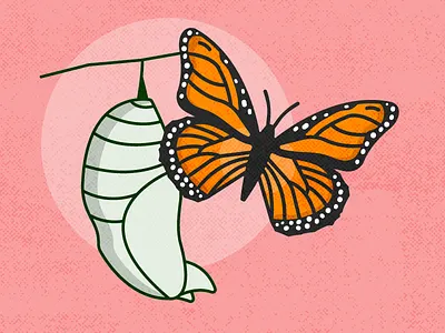 WIP 2 art design flat graphic design illustration illustrator vector web