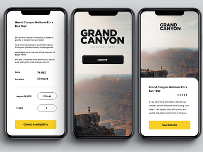 Grand Canyon app branding design identity mobile mobile ui ui web website