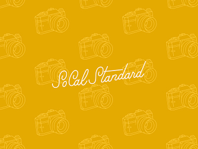 SoCal Standard Preview brand identity branding camera hand lettered hand lettering icon wordmark