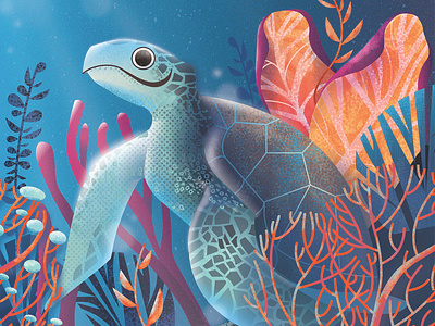 Turtle aquatic art character design design illustration illustrator ocean sea life sea turtle turtle underwater vector