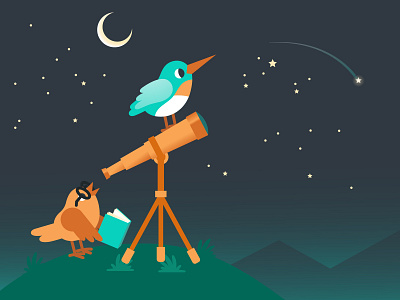 Flockjay Stargazing animal illustration bird illustration branding cute animal illustration cute birds design illustration stars tech tech illustration vector