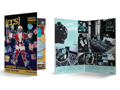CCS Catalog branding design print