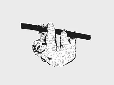 Not so sleepy sloth content creation digital drawing illustration
