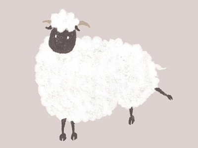 sheep animal illustration sheep white