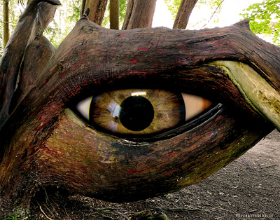 Eyeball Tree eyeball tree