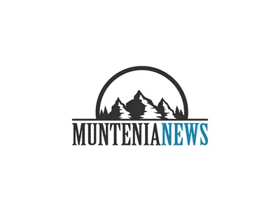 Logo Design business design logo logo design logodesign media modern modern logo modernism mountains nature news