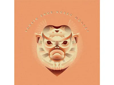 Geometric Monkey Design character geometric illustration illustrator monkey symmetrical symmetry