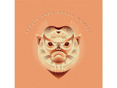 Geometric Monkey Design character geometric illustration illustrator monkey symmetrical symmetry