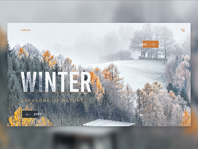 4 seasons WINTER design landingpage ui uidesign web website