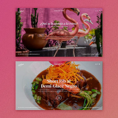 i Latina Banquetes - Splash design splash splashpage ux website