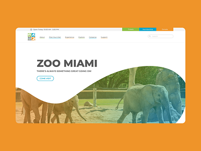 Daily UI - 003 : Landing Page blue branding daily ui dailyui design elephant elephants front end green landing landingpage miami orange ui ui design uiux ux design vector web design zoo