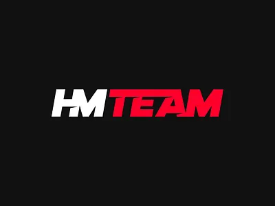 HMTEAM — Logo animation automotive blank brand identity branding branding agency branding studio construction corporate identity design design grid gradient hmteam identity lines logo animation logo design logo grid logo marks startup