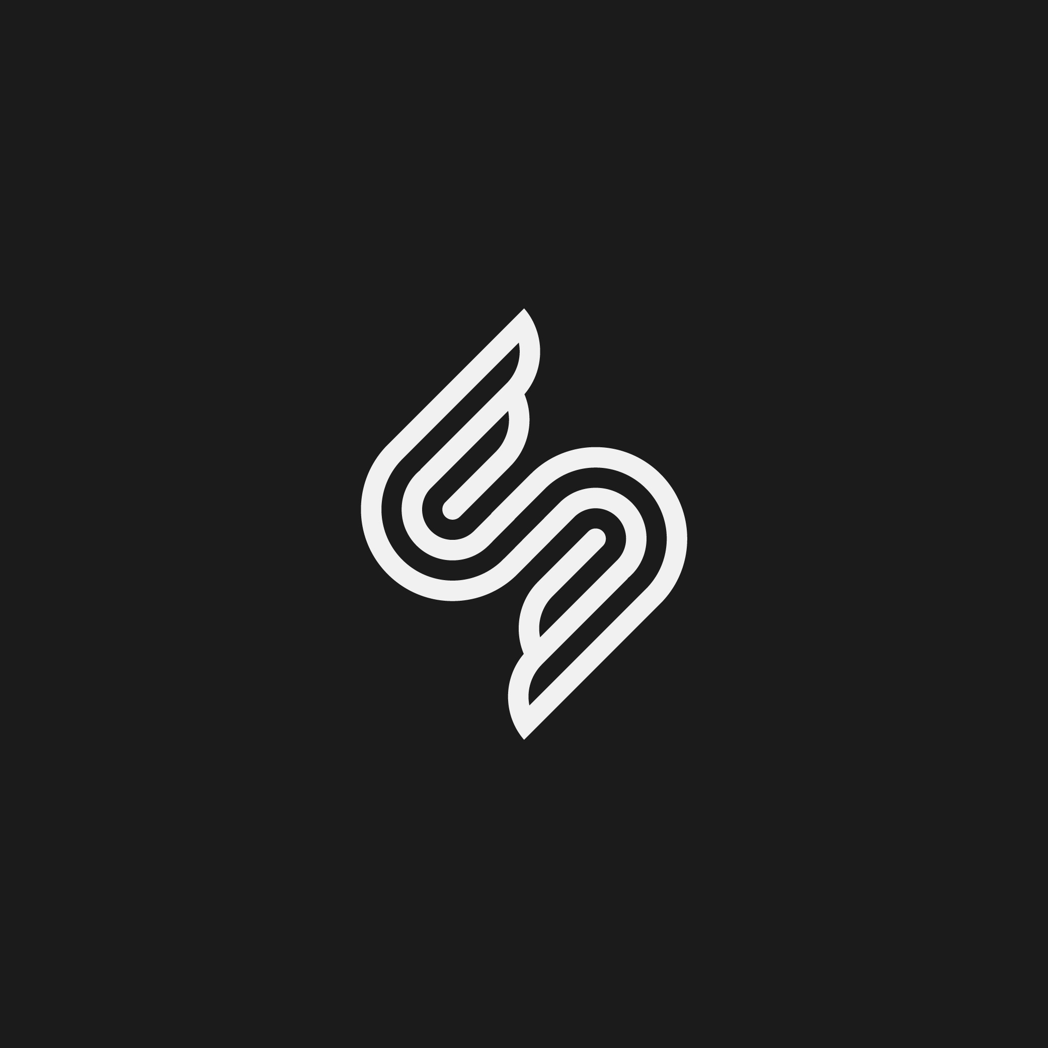 Example of Flying S logo concept