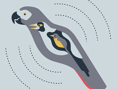 Birdsong art birds color cover art design flat idea illustration minimal parrot podcast vector