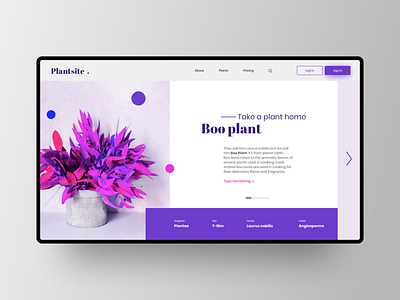 Boo plant application design flat logo photoshop sketch ui userinterface ux website