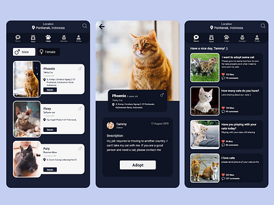 Adoption cat mobile appliaction adopt adoption animal animals app cat cats dark dark mode dark theme dark ui design dribbble illustration minimal mobile pet pets ui ux