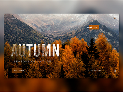 4 seasons AUTUMN design landingpage typography ui uidesign web website