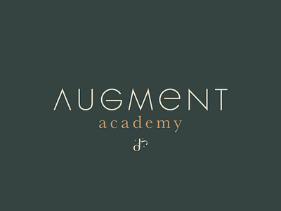 Augment Academy brand design branding design digital art illustration logo logodesign music typography vector