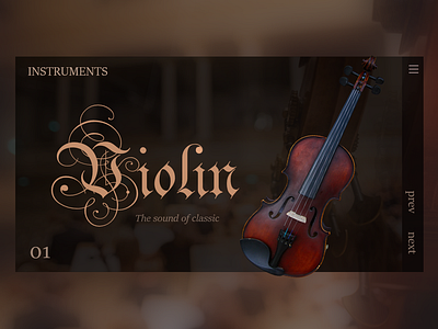 Music Instruments Violin design illustration ui uidesign webdesig