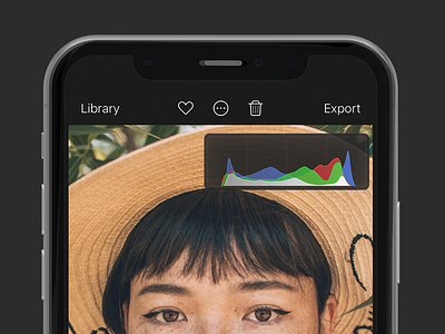 Darkroom 4.2 Histogram app darkroom histogram photo editor