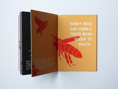 Spread zine '9 Weird and Random Facts About Insects book book cover book design booklet illustration illustrator insect insect facts procreate zine zines