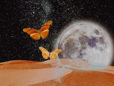 BUTTERFLY AWAY collage desert illustration landscape mooncrab photoshop surrealism vintage