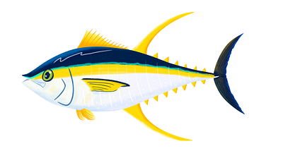 Yellowfin Tuna childrens illustration colorful editorial fish icon illustration sealife tuna vivid