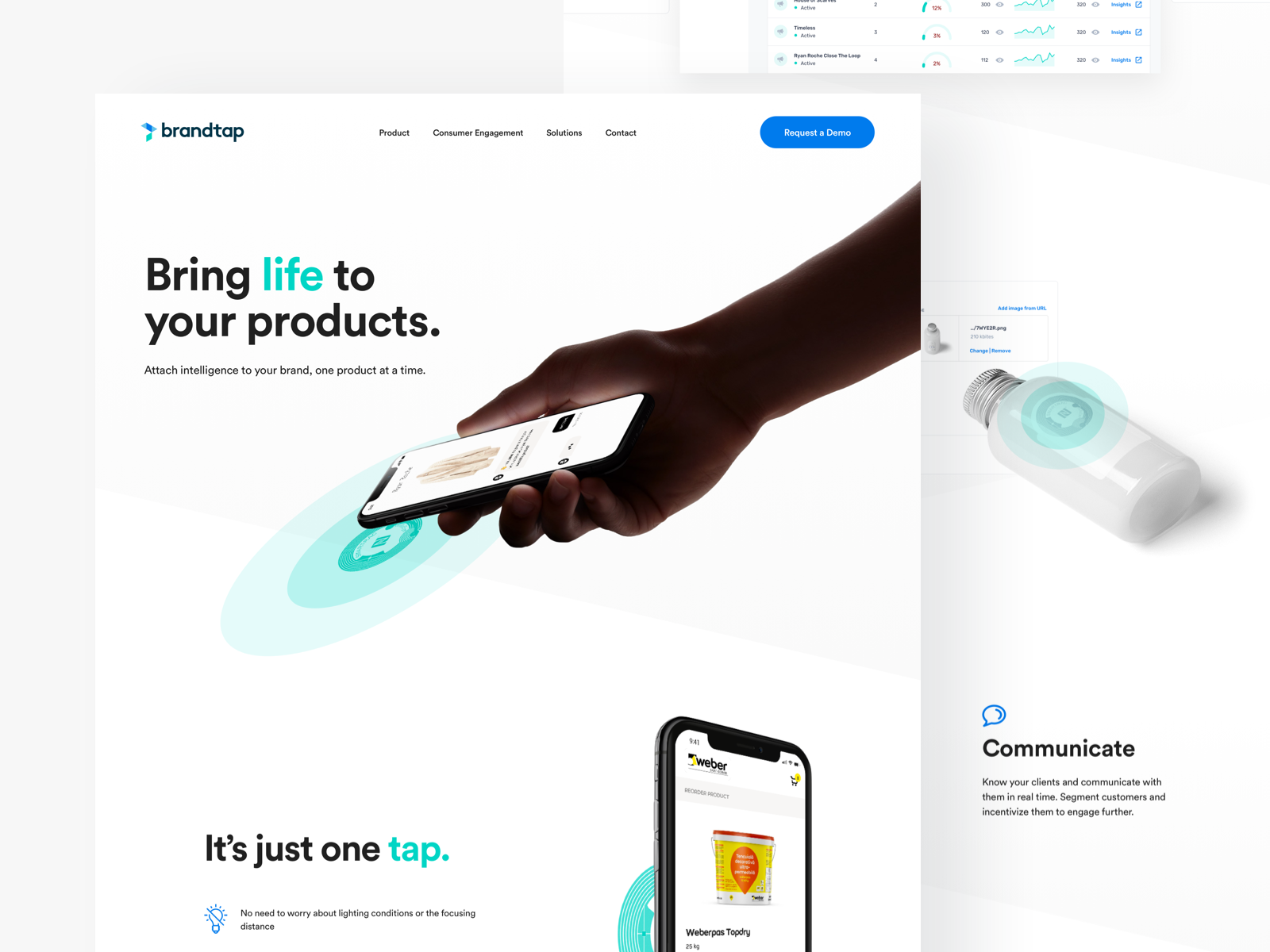 Example of Brandtap Website Design
