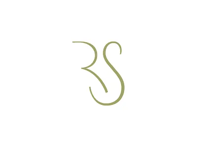 Rina Schiffman art branding design elegant gold identity logo logo design photography rs sophisticated style symbol