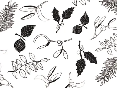 Holly Botanical Pattern botanical christmas drawing flowers holiday holly ink leaves pattern season surface design