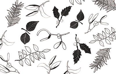 Holly Botanical Pattern botanical christmas drawing flowers holiday holly ink leaves pattern season surface design