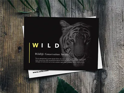 Conservation Suite animals brand brochure business business card eco green leaflet tiger