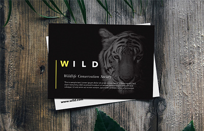 Conservation Suite animals brand brochure business business card eco green leaflet tiger