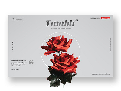 Tumblr Landing Page aesthetic app clean design app design art digital art grunge interaction design landing page minimalist photography rose search art spanish tumblr ui ui app user interface ux website