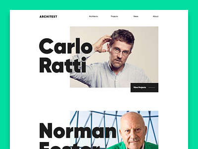 Architects Landing Page 2019 architects architecture blog branding design green information landing landing page logo portfolio product project ui ux webdesig website