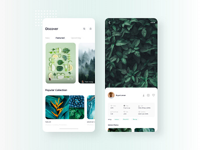 Free stock photos app UI app app design apple dashboard design free freebie illustration ios istiakui minimal mobile app pexels photography stock photos typography ui uiux user interface ux