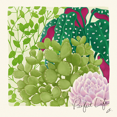 Perfect Life <3> My Plants bear hand digitalart digitalpainting drawing green home illustration life photoshop plant plant illustration plants succulents wacom intuos